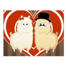 Casal extravagante bonito da alpaca com cartões postais