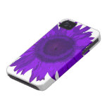 Case mate roxa do iPhone 4 do girassol mal lá Capa iPhone 4 Case-Mate