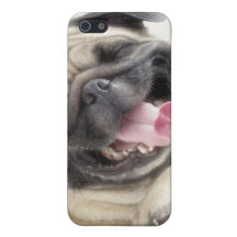 Caso bonito de Iphone 5 do Pug iPhone 5 Capas