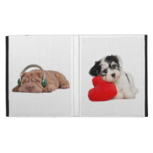 caso de Casable do iPad