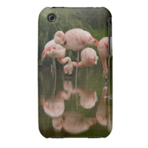Caso do iPhone 3G/3GS dos flamingos mal lá iPhone 3 Capa