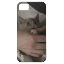 caso do iPhone 5 com luta do gatinho a mão de um s Capas iPhone 5 Case-Mate