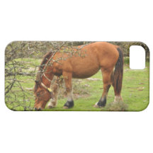 caso do iPhone 5 com um cavalo que pasta atrás dos iPhone 5 Capas