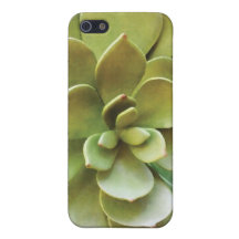 Caso do iPhone 5 da planta do Succulent