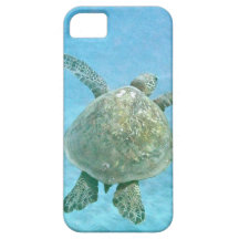 Caso do iPhone 5 da tartaruga de mar Capa iPhone 5