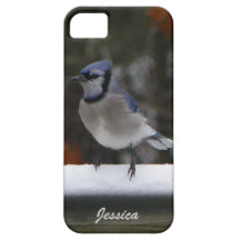 Caso do iPhone 5 de Jay azul Capas iPhone 5 Case-Mate