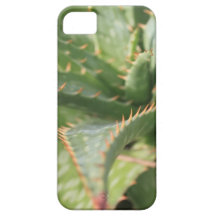 Caso do iPhone 5 do aloés Capa De iPhone 5 Case-Mate