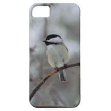 Caso do iPhone 5 do Chickadee iPhone 5 Capa