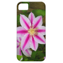 Caso do iPhone 5 do Clematis iPhone 5 Capa