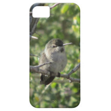 Caso do iPhone 5 do colibri Capas iPhone 5 Case-Mate