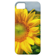 Caso do iPhone 5 do girassol Capas De iPhone 5 Case-Mate