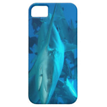 Caso do iPhone 5 do tubarão do recife Capa iPhone 5 Case-Mate