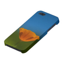 caso do iphone 5: papoila de Califórnia alaranjada iPhone 5 Capas