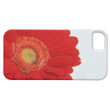 Caso floral do iPhone 5 iPhone 5 Capa