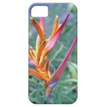 Caso havaiano aumentado do iPhone 5 da flor de Hel Capa De iPhone 5 Case-Mate