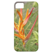 Caso havaiano do iPhone 5 da flor de Heliconia Capas De iPhone 5 Case-Mate