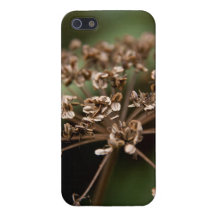 Caso seco do iPhone 5 da flor
