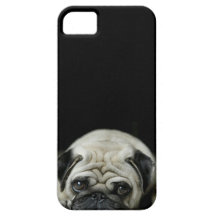 caso triste do iphone 5 do pug capa de iPhone 5 Case-Mate