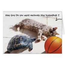 CAT, TARTARUGA E BASQUETEBOL CARTÕES