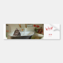 CATBATH ADESIVOS