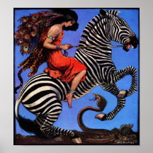 Cavaleiro da zebra pôsteres