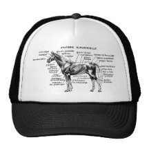 Cavalo Bone