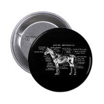 Cavalo Botons