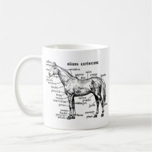 Cavalo Caneca