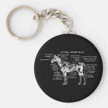 Cavalo Chaveiros