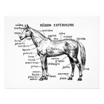 Cavalo Convites Personalizado