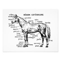 Cavalo Convites Personalizado