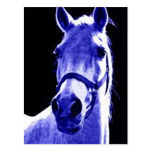 Cavalo da noite cartoes postais
