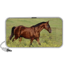 Cavalo de baía bonito caixinhas de som para notebook