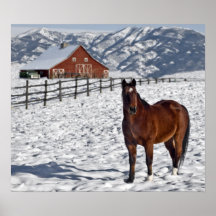 Cavalo em Bozeman, Montana Posteres
