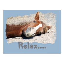 Cavalo engraçado: Relaxe Cartao Postal