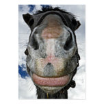 Cavalo feliz! Sorrisos Nosey engraçados do cavalo Modelo Cartões De Visita