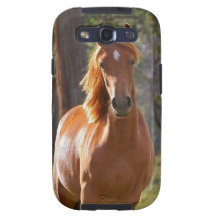 Cavalo lindo de Brown da castanha no campo Capa Galaxy SIII