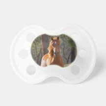 Cavalo lindo de Brown da castanha no campo Chupeta