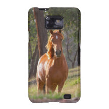 Cavalo nas madeiras capas samsung galaxy s2