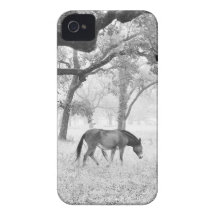 Cavalo no campo nevoento dos carvalhos iPhone 4 capas