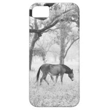Cavalo no campo nevoento dos carvalhos capas de iPhone 5 Case-Mate
