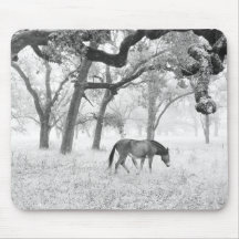 Cavalo no campo nevoento dos carvalhos mousepads