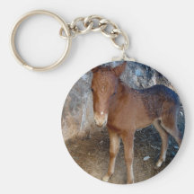 Cavalo recém-nascido chaveiros