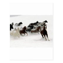 Cavalos na neve cartao postal