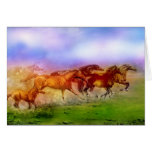 CAVALOS SELVAGENS CARTÃO