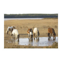 CAVALOS SELVAGENS IMPRESSÃO DE CANVAS ESTICADAS