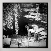 Caverna de Engelbrecht Posteres