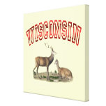 Cena 24x24 dos cervos de Wisconsin Impressão De Canvas Envolvidas
