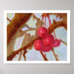 Cerejas, poster