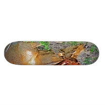 Cervos do sono Eld na pintura do jardim zoológico Skate Personalizado